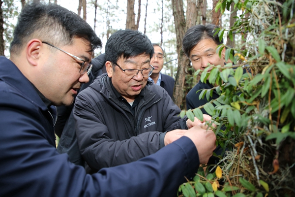 吴普特在城固县上元观镇新元村铁皮石斛产业园调研_副本.jpg