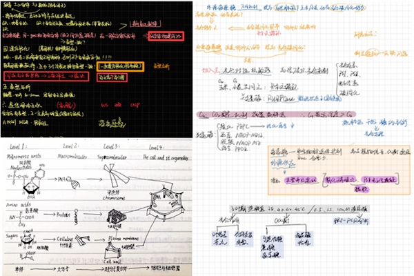 二等奖.jpg